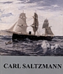 Titelbild zu: "Carl Saltzmann (1847-1923)": Vergr&ouml;&szlig;erung nicht m&ouml;glich!